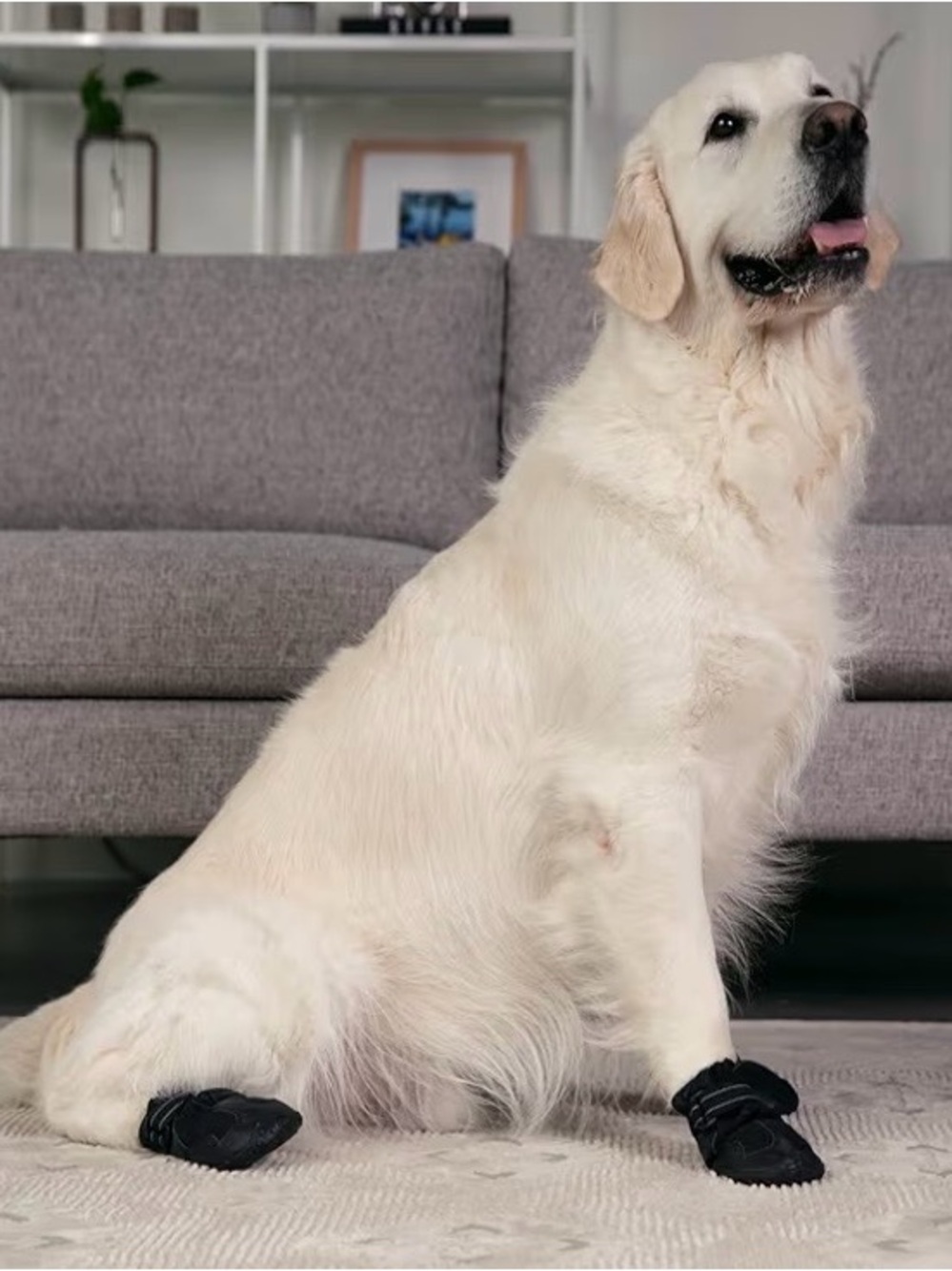 Versa Vine Non-Slip Dog Boots for Indoor & Outdoor Use